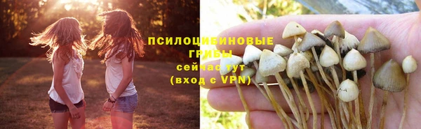бошки Алзамай