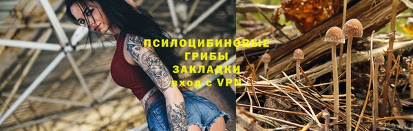 бошки Алзамай