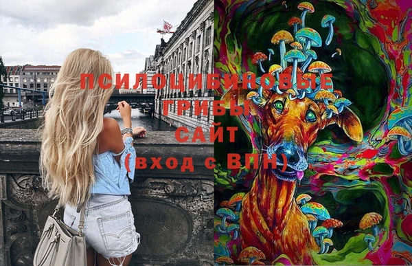 марки lsd Алексеевка
